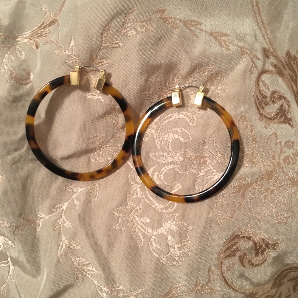 Tortoise Hoops